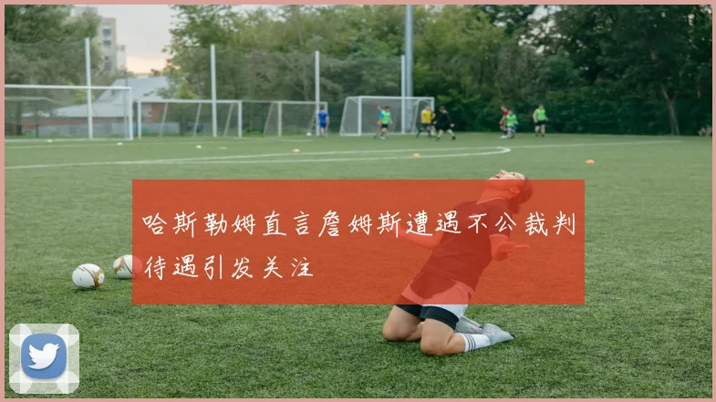 哈斯勒姆直言詹姆斯遭遇不公裁判待遇引发关注